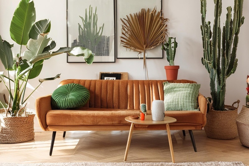 едностайни