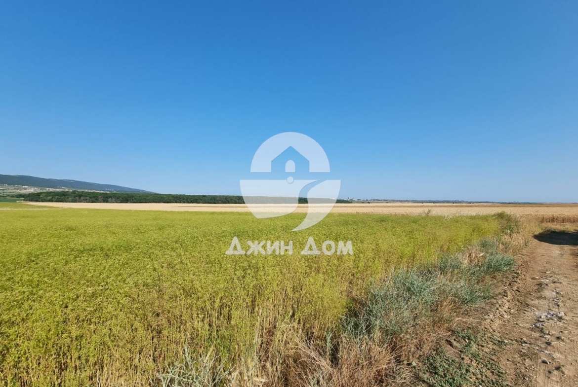 Земеделска земя в с. Тънково - 0