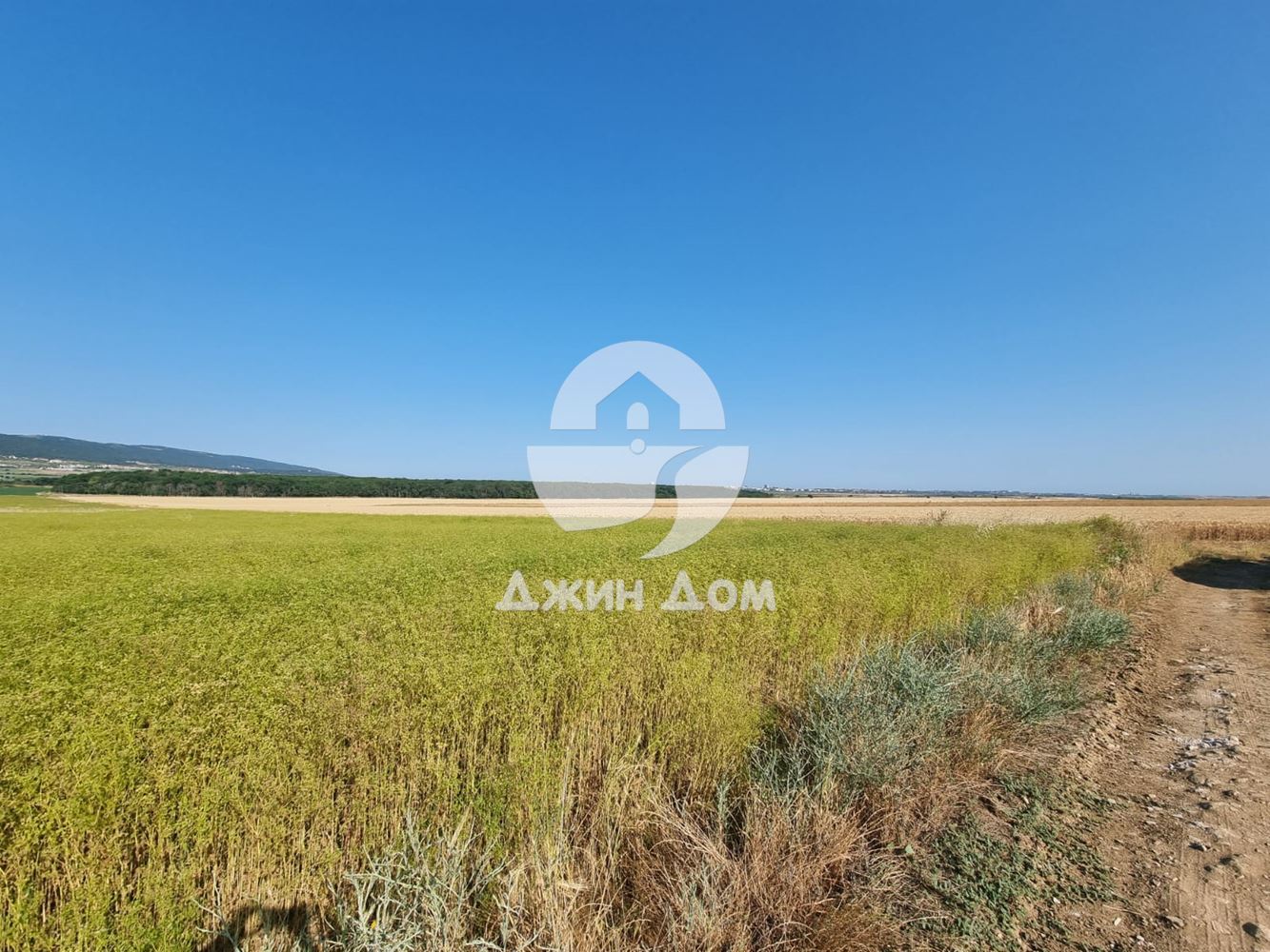 Земеделска земя в с. Тънково - 0