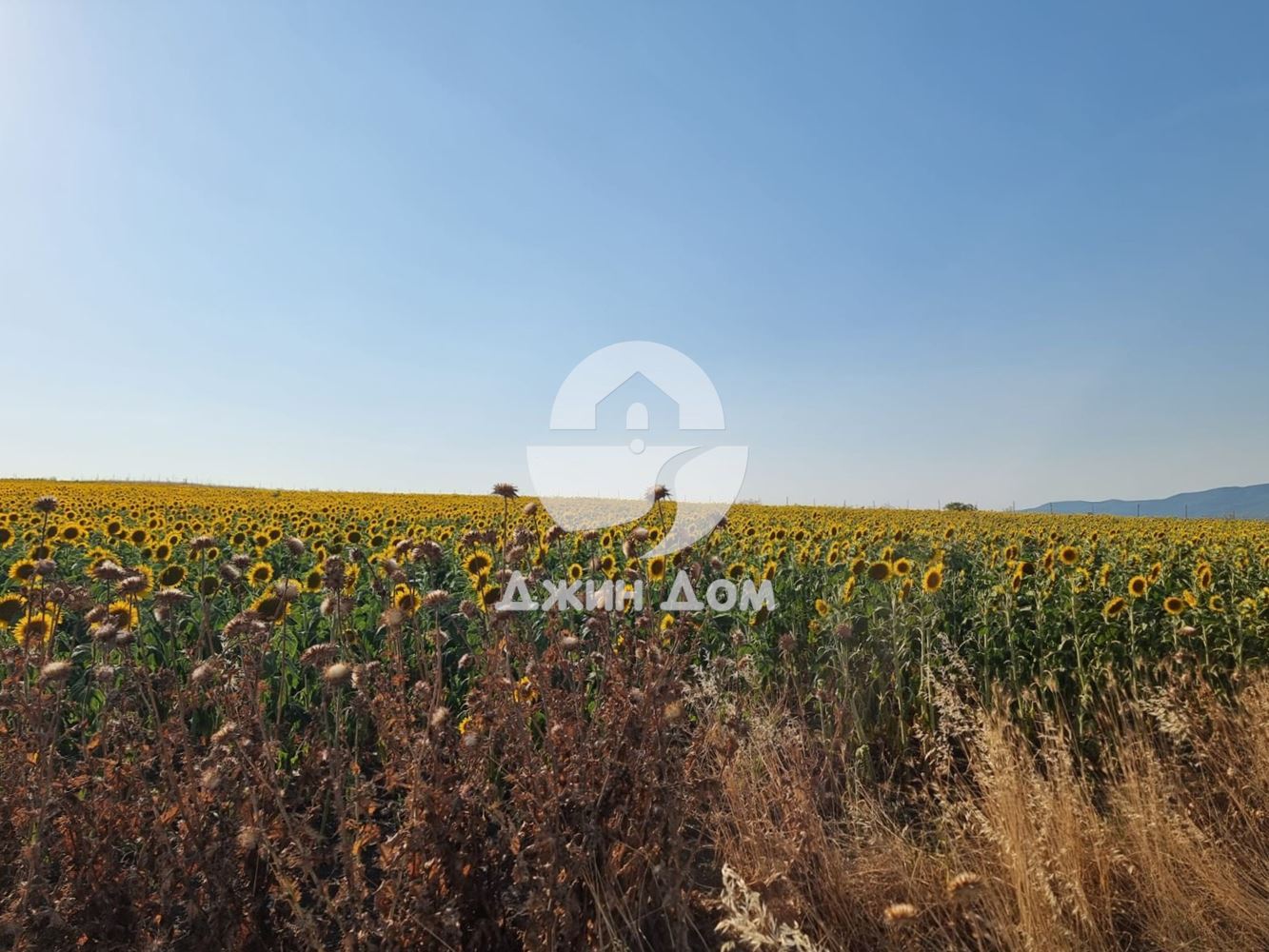 Урегулиран поземлен имот с ГЛЕДКА МОРЕ в с. Тънково - 0
