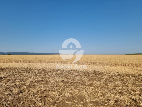 Земеделска земя в с. Тънково - 0