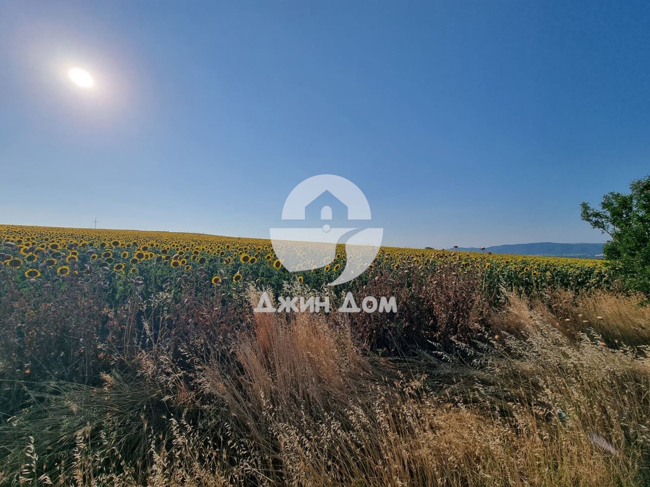 Урегулиран поземлен имот с ГЛЕДКА МОРЕ в с. Тънково - 0