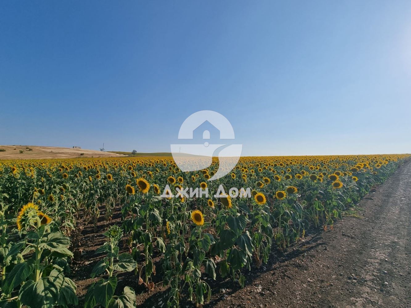 Урегулиран поземлен имот с ГЛЕДКА МОРЕ в с. Тънково - 0