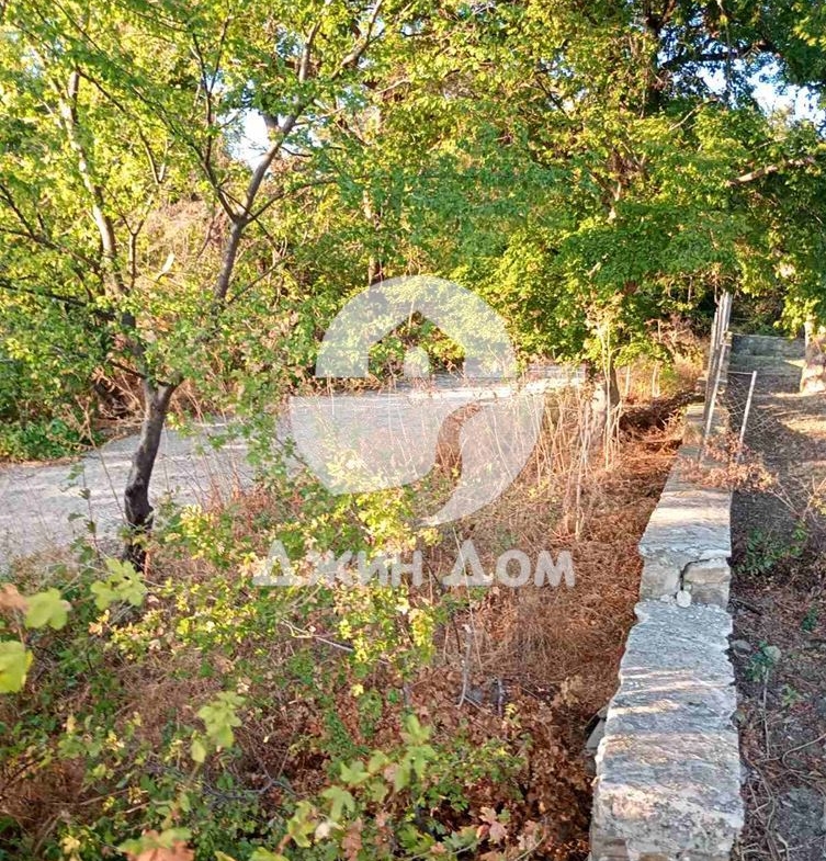 УПИ с проект и ГЛЕДКА ПЛАНИНА в м-т Чолакова чешма, с. Кошарица - 0