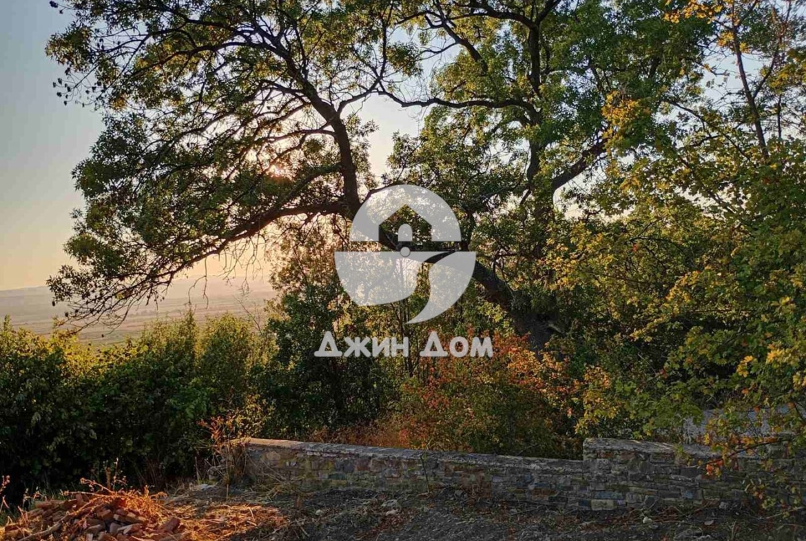 УПИ с проект и ГЛЕДКА ПЛАНИНА в м-т Чолакова чешма, с. Кошарица - 0