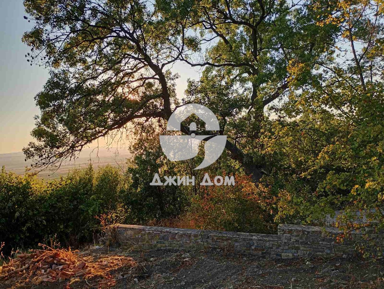 УПИ с проект и ГЛЕДКА ПЛАНИНА в м-т Чолакова чешма, с. Кошарица-0 УПИ с проект и ГЛЕДКА ПЛАНИНА в м-т Чолакова чешма, с. Кошарица - 0